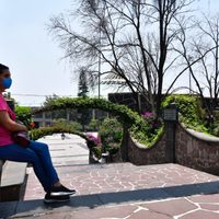 En un mes, 770 mujeres víctimas de violencia familiar solicitaron atención en SecMujeres