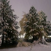 Emiten un alerta amarillo por viento y lluvias en la cordillera sur de Neuquén
