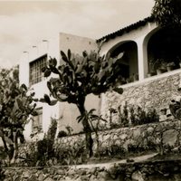 Tamayo, fotógrafo