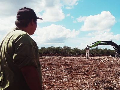 “Nos dejan mierda, pestilencia y moscas”: La batalla de Kinchil contra granja avícola en Yucatán