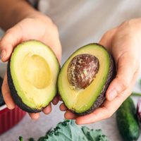 El increíble abono que se puede obtener solo con el hueso de la palta