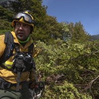 Provincias patagónicas preparan protocolos unificados para prevenir y enfrentar incendios forestales