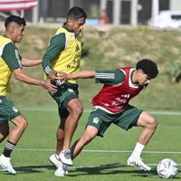 México enfrenta a Camerún en último ensayo antes de jugar contra EU