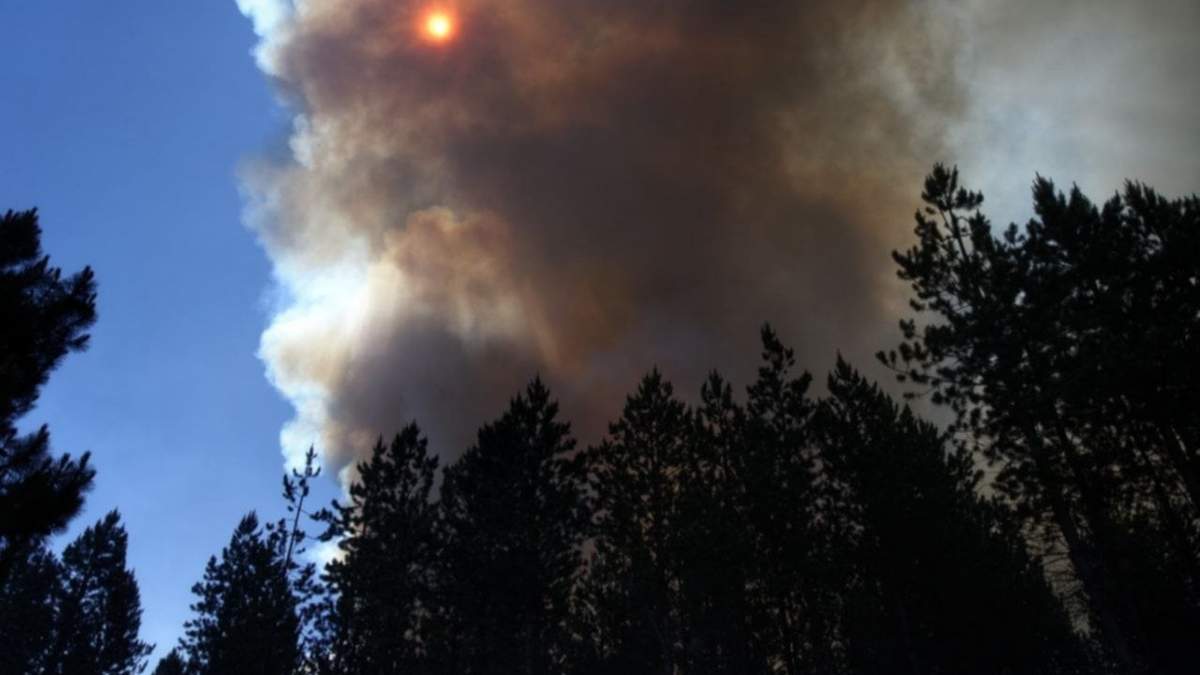 Incendios en Aluminé. Fuente: (Twitter)