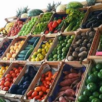 El ISEPci indicó que los productos de almacén y verdulería son los que más aumentaron en Neuquén