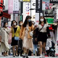 Pánico en Corea del Sur por un nuevo caso de influenza aviar que se registra en el centro del país