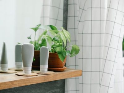 Te va a sorprender: mirá lo que sucede si ponés esta planta en tu baño