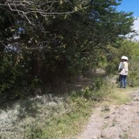 Defensoría pide atender afectaciones ocasionadas por minera Cuzcatlán