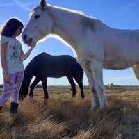Se realizará un taller de terapias asistidas con caballos en San Martín de los Andes