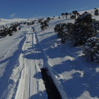 Se habilitó el paso Pino Hachado, pero cuatro rutas se encuentran intransitables debido a la nieve