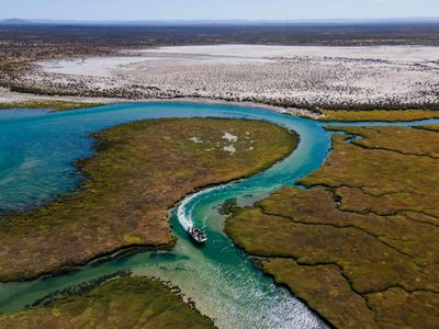Un refugio salvaje en la Patagonia: escapada invernal a Bahía Bustamante