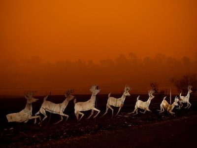 "Por Australia": La marcha que se viene en Neuquén