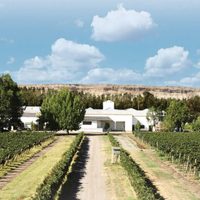 La vitivinicultura de la Patagonia llega en formato virtual