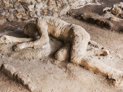 Increíble descubrimiento: hallan neuronas conservadas de una víctima de la erupción en Pompeya