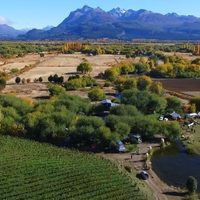 Vinos de Chubut: nuevas vides y proyectos para el verano