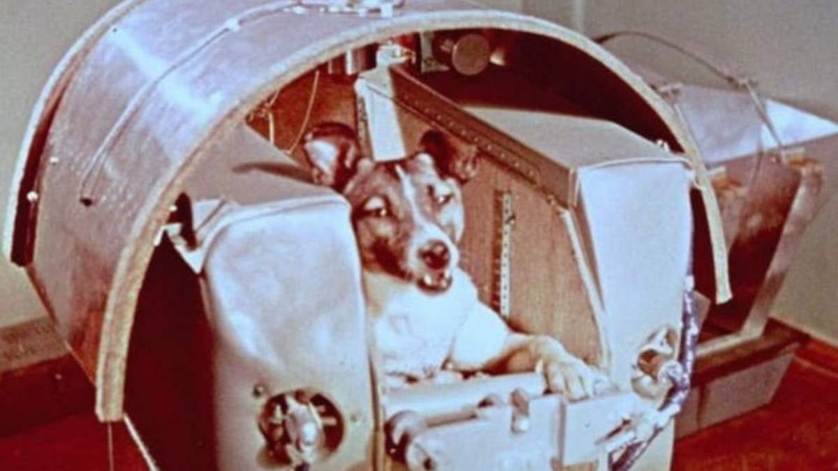 La perrita Laika