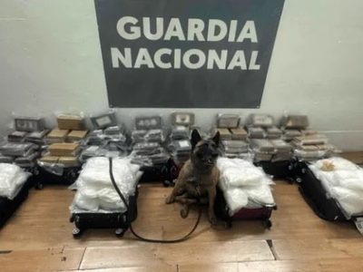 Abandonan maletas con más de 250 kilos de droga en el Aeropuerto Internacional de Tijuana