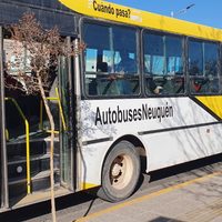 Cruces en el Concejo Deliberante de Plottier por la nueva licitación del transporte público