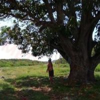 Sujeto se ahorca después de violar y matar a una menor en Tamaulipas