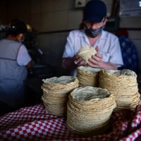 AMLO analiza poner tope al precio del gas e importar maíz para estabilizar el de la tortilla