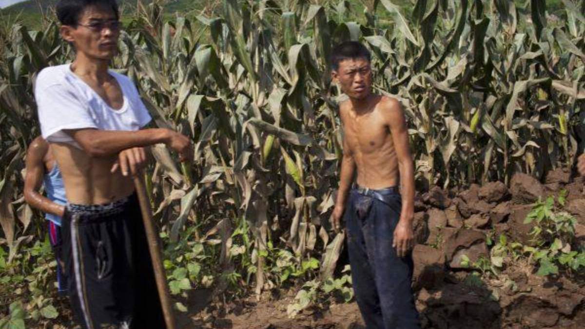 Habitantes de Corea del Norte