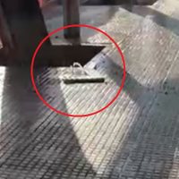 Arreglo y desarreglo: una "fuente" brota desde las baldosas en Ciudad