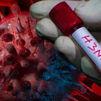 Gripe H3N2: confirmaron la primera muerte en Argentina y encendieron la alerta sanitaria