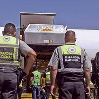 Entre "seguridad nacional" e información inexistente, la opacidad crece en la 4T