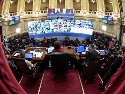 Sesiones virtuales: cuáles son las medidas que aprobará el Senado la semana que viene