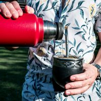 Yerba mate: beneficios respaldados por la ciencia, propiedades y contraindicaciones que debés conocer