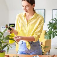 3 plantas que son un tesoro para tu proceso digestivo: así te ayudarán a desinflamar el estómago