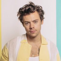 La mejor noticia para sus fans: Harry Styles vuelve a tocar en el marco de un increíble evento
