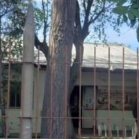 Piden al CPE que vuelvan las clases en las Escuela 223, que sufrió un incendio días atrás