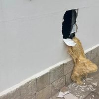 Hicieron un boquete para robar en un cajero automático del BPN: un empleado municipal aprehendido