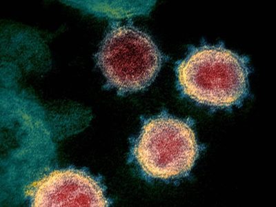 Por qué la nueva cepa de coronavirus detectada en Sudáfrica resulta particularmente preocupante