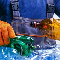Tus botellas vacías pueden ser un tesoro: reciclalas y armá maceteros que parecen de diseño japonés