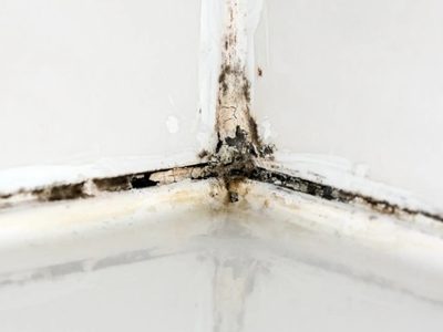 Con 3 ingredientes y en pocos minutos: el poderoso truco para limpiar el moho aferrado en la ducha y la mampara