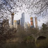 Hombre mata a puñaladas a perro tras discutir con su dueña en NY