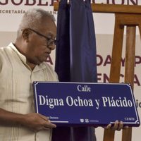 Para reparar el daño por su asesinato, calle de la CDMX es nombrada Digna Ochoa y Plácido