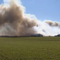 Incendio mata a unos 6 mil cerdos; humo visible a kilómetros