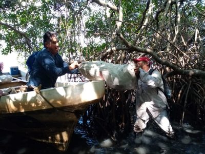 Derrame de petróleo ya se extendió 630 kilómetros, de Veracruz a Tabasco (Mapa interactivo)