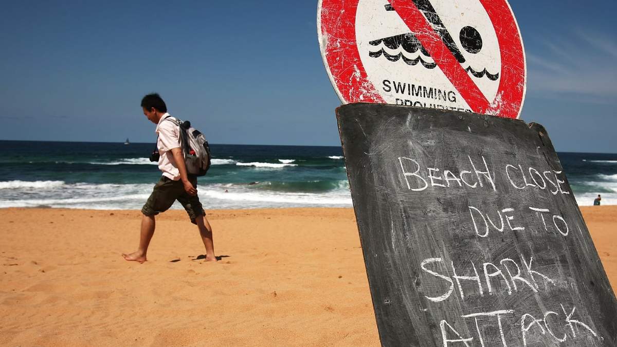 Imagen ilustrativa de un cartel que prohíbe el ingreso a esta playa por posibles ataques de tiburón. Fuente: (Twitter)