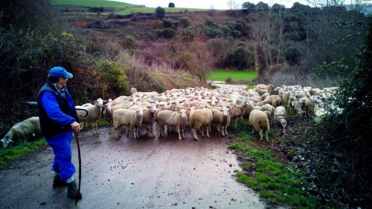 Reivindican la labor de los productores rurales. Fuente. (Twitter)