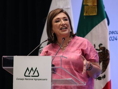 ¿Ventaja para Xóchitl? Esto es lo que dice Citibanamex sobre las encuestas presidenciales