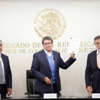 Scherer Ibarra entrega al Senado la solicitud de consulta sobre juicio a expresidentes