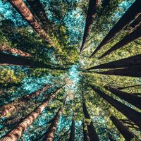 El ritual que hay que podés hacer en tu jardín o maceta este 1/8, Día de la Pachamama