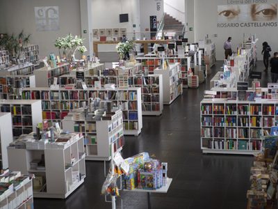 La población lectora en México cayó 14.6% en la última década: Inegi