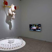 'Colateral”, de Yoshua Okón, en el MUAC