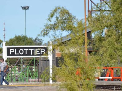 Se conoció el testimonio clave que condenó a Capex por la muerte de los conejos en Plottier