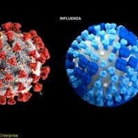 Antonio Lazcano Araujo sugiere utilizar el Sofosbuvir para enfrentar al coronavirus